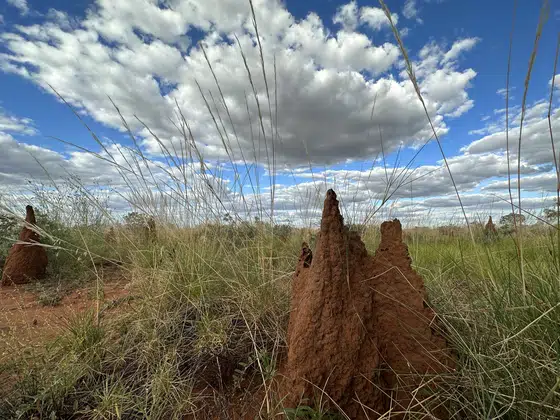 Outback Termite Mounds Clouds