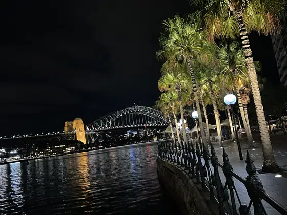 Sydney Harbour Bridge Night Palms