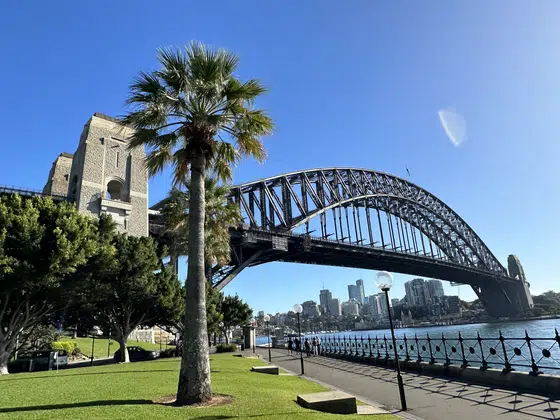 Sydney Harbour Bridge Palm Lawn