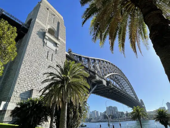 Sydney Harbour Bridge Palm Tree