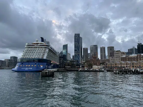 Sydney Harbour Cruise Ship Skyline