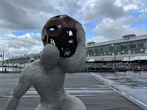 Sydney Public Art Close View