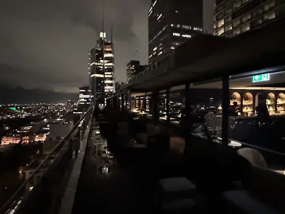 Sydney Rooftop Bar Harbour Bridge View