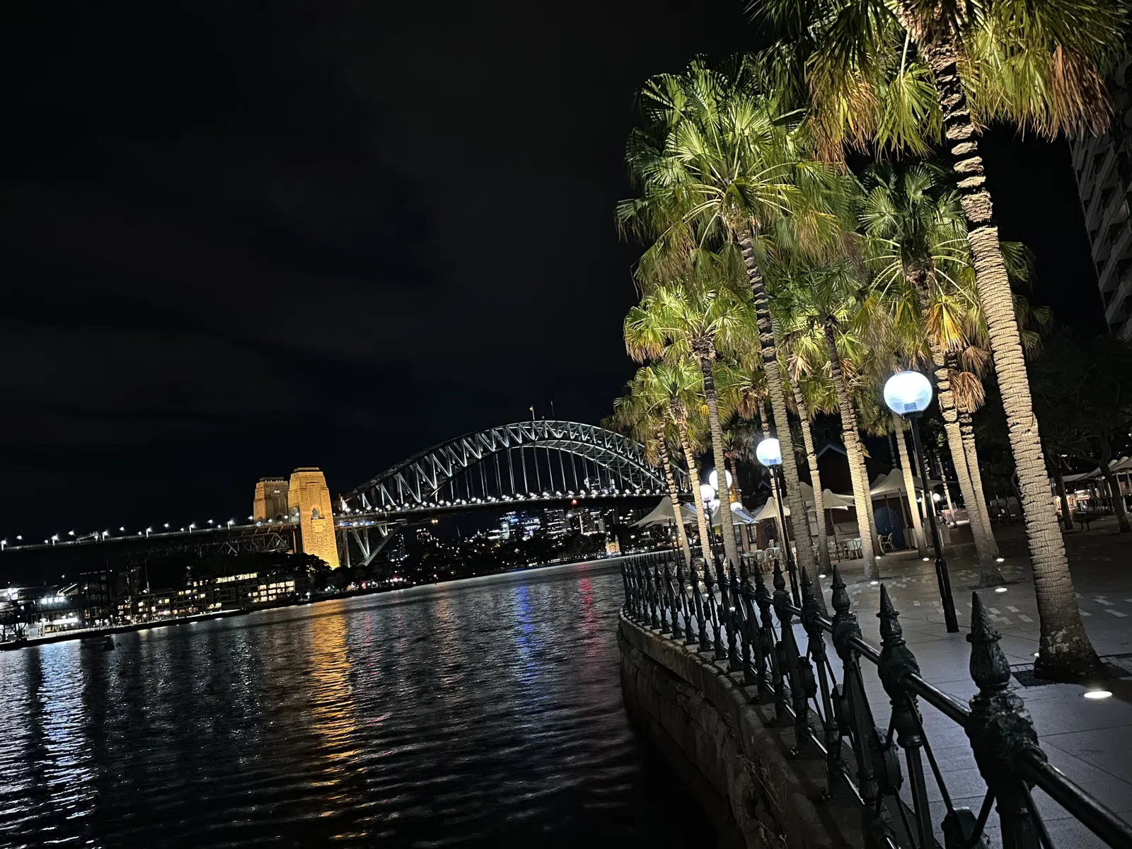 Sydney Harbour Bridge at night with palms