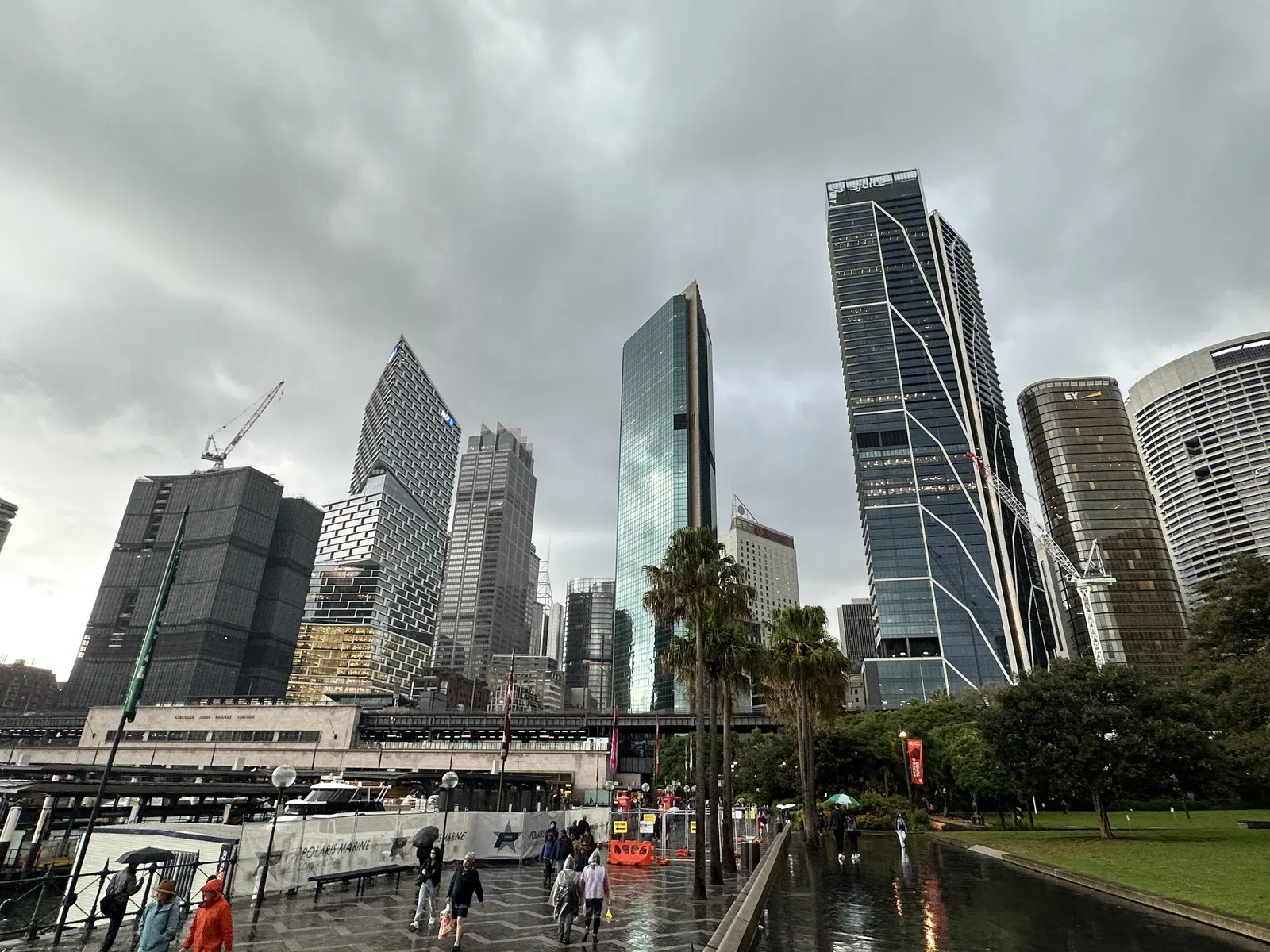 Modern Sydney harbour skyline in rain